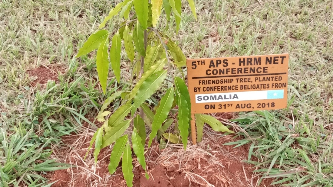 APS-HRMnet-SOMALIA-FRIENDSHIP-TREES